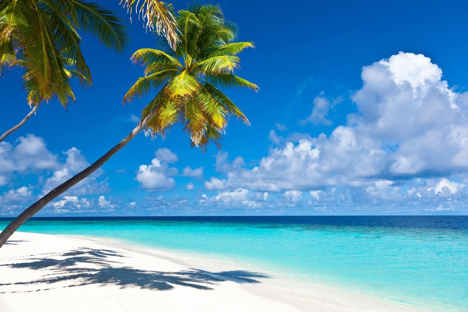 Caribbean luxury gulet charter — Caribbean sailing destination