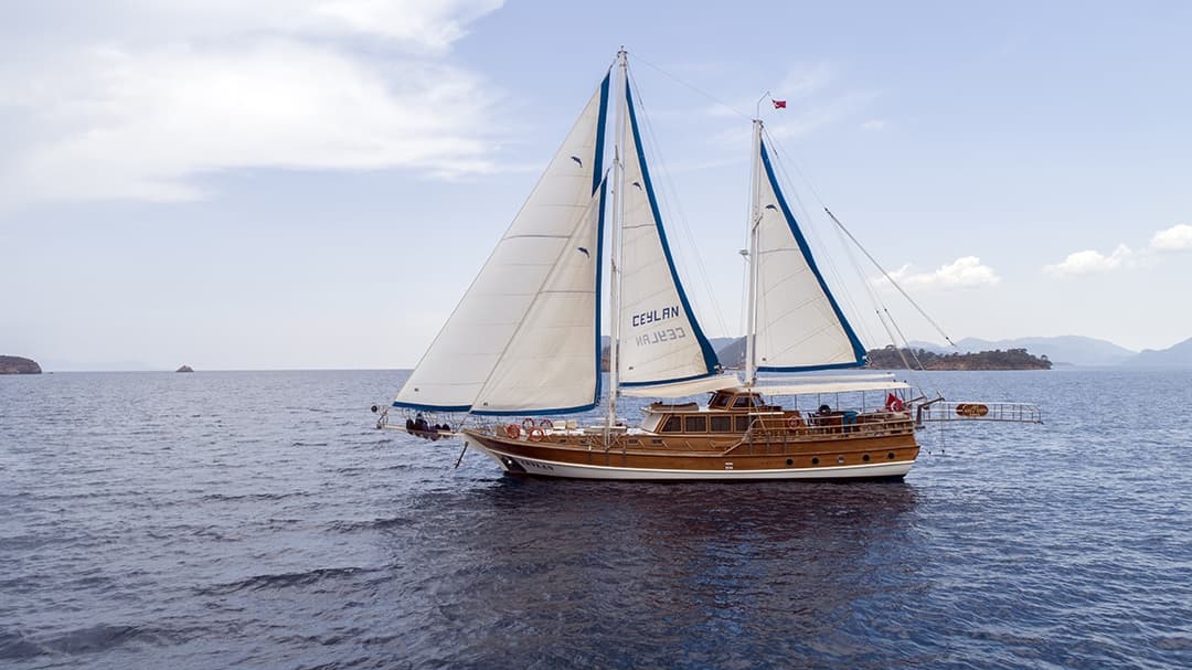 Ceylan exterior
